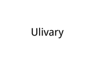 Ulivary Coupons and Promo Codes screenshot