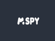 Mspy screenshot