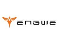 Engwe screenshot